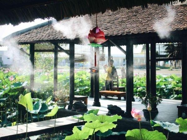 Sen Thien (Quan Sen Thien)